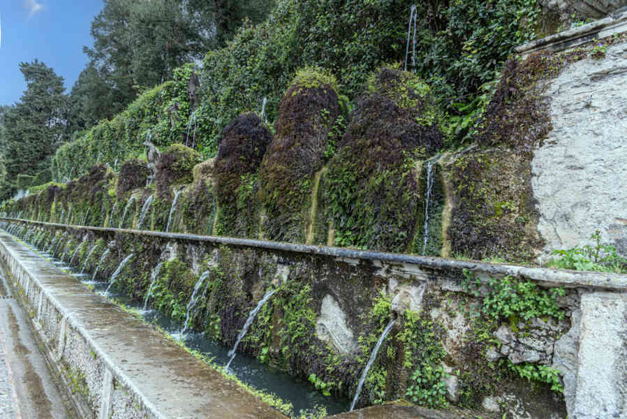 Italia - Tivoli 62 - Villa del Este - Viale delle Cento Fontane.jpg